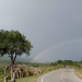S__5054544.jpg