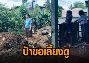 24-ป้าหลาน-728x382.jpg