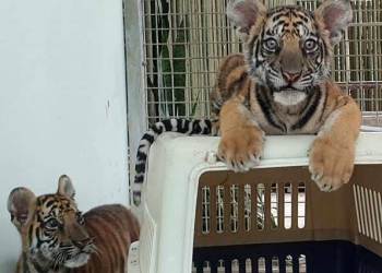 ภาพ : สถานีเพาะเลี้ยงสัตว์ป่าภูเขียว จังหวัดชัยภูมิ