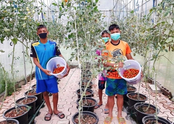 CPF ปลุกพลังพนักงาน บูรณาการโครงการเพื่อสังคม-ชุมชน เฟ้นรางวัล CSR Pitching Contest