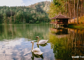 ที่เที่ยวหน้าหนาว 2565 คนไม่เยอะ ปางอุ๋ง แม่ฮ่องสอน